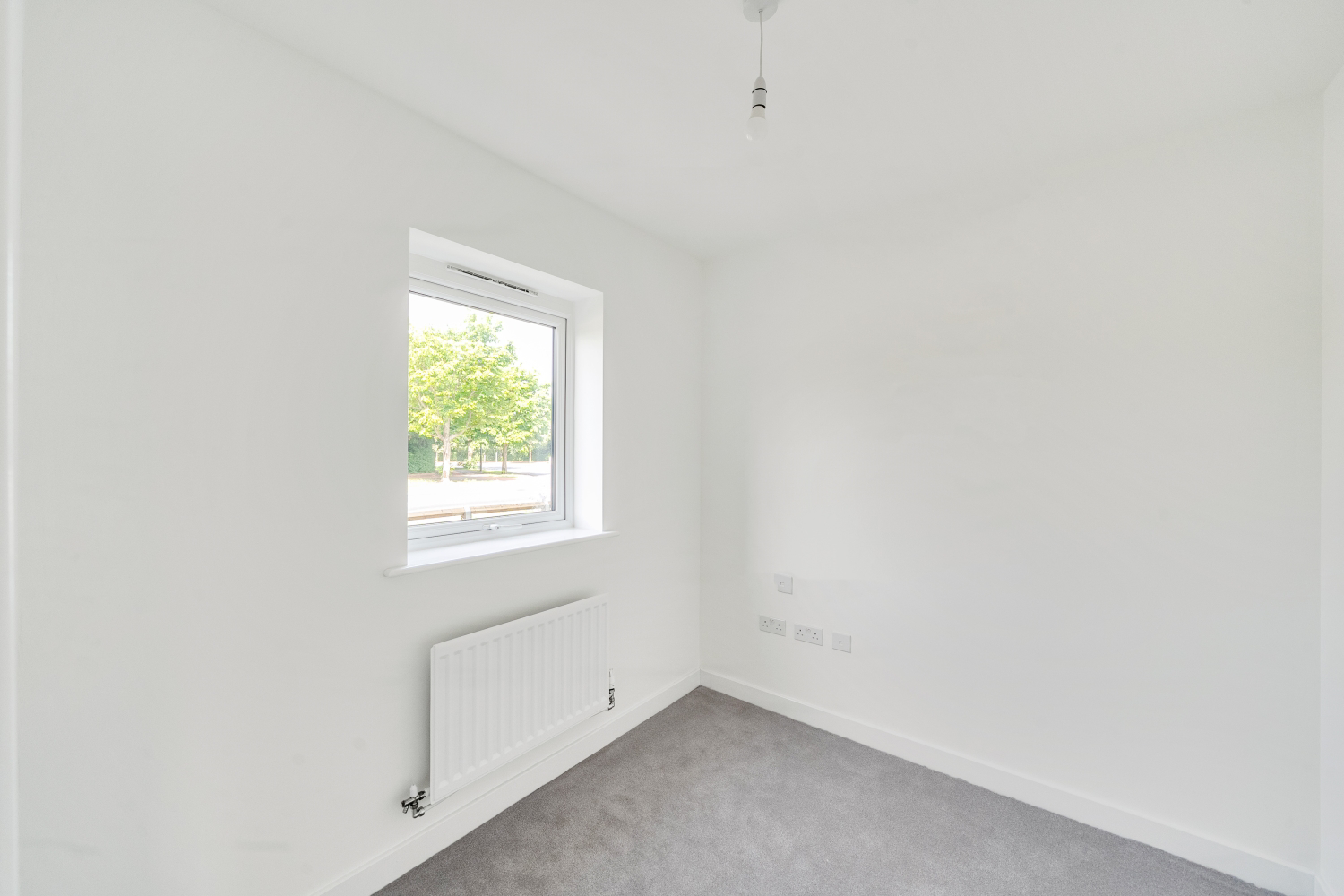 Potteric Edge, Doncaster, DN4, photo 9