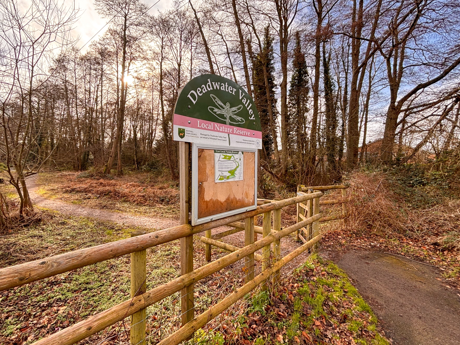 Hollybrook Court Chalet Hill, Bordon, Hampshire, GU35, photo 9