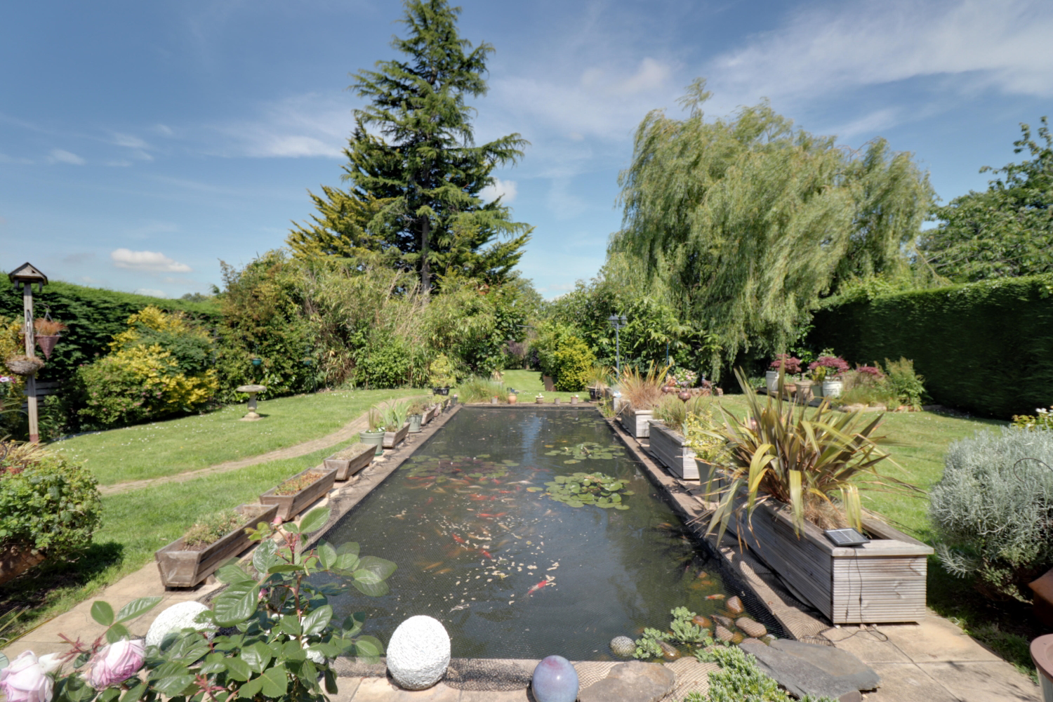 The Drive, Farringdon, Exeter, photo 17