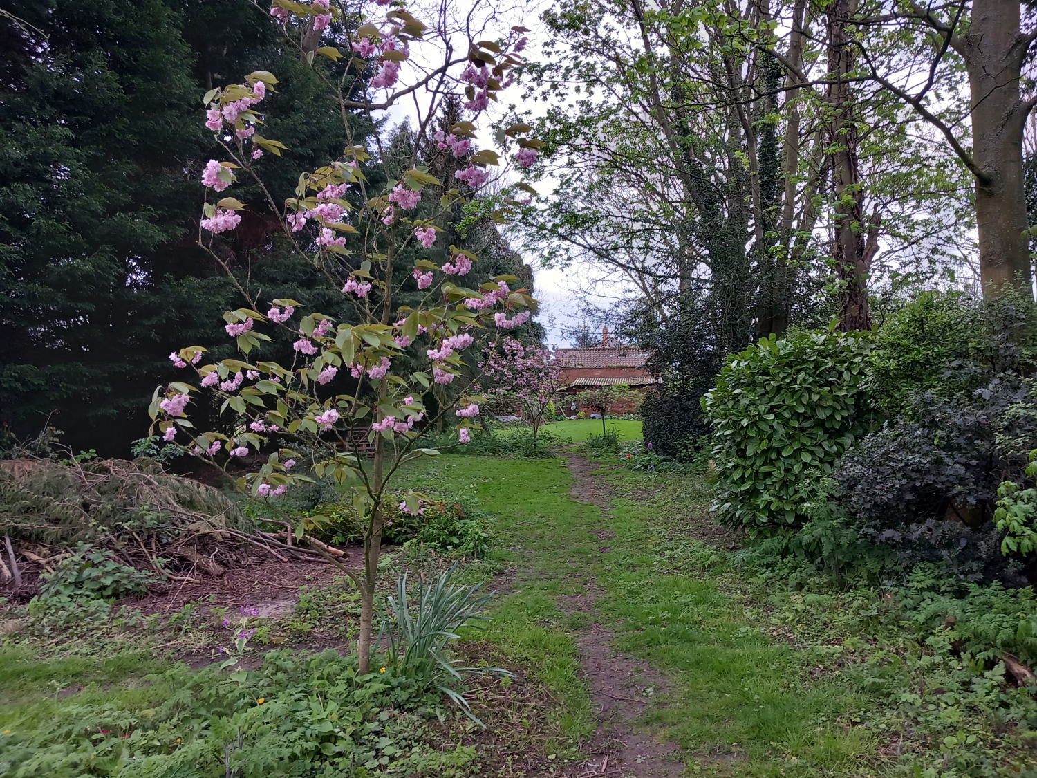 Coverdale King Edward Street, Belton, Doncaster, photo 21