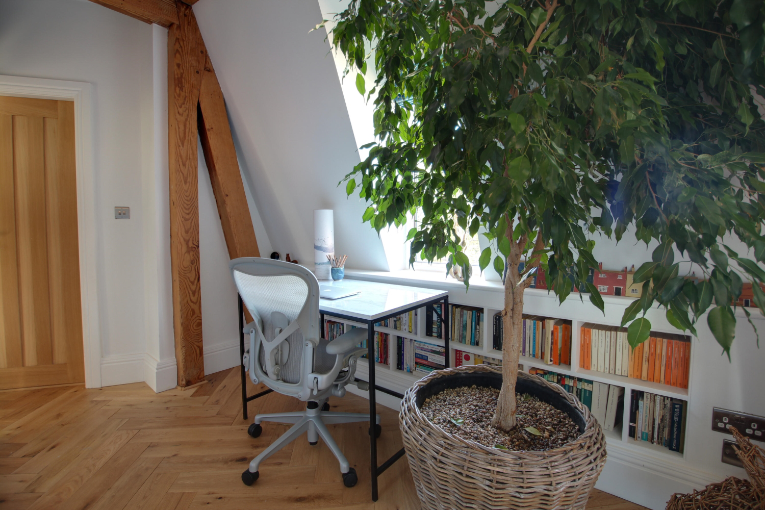 Study area