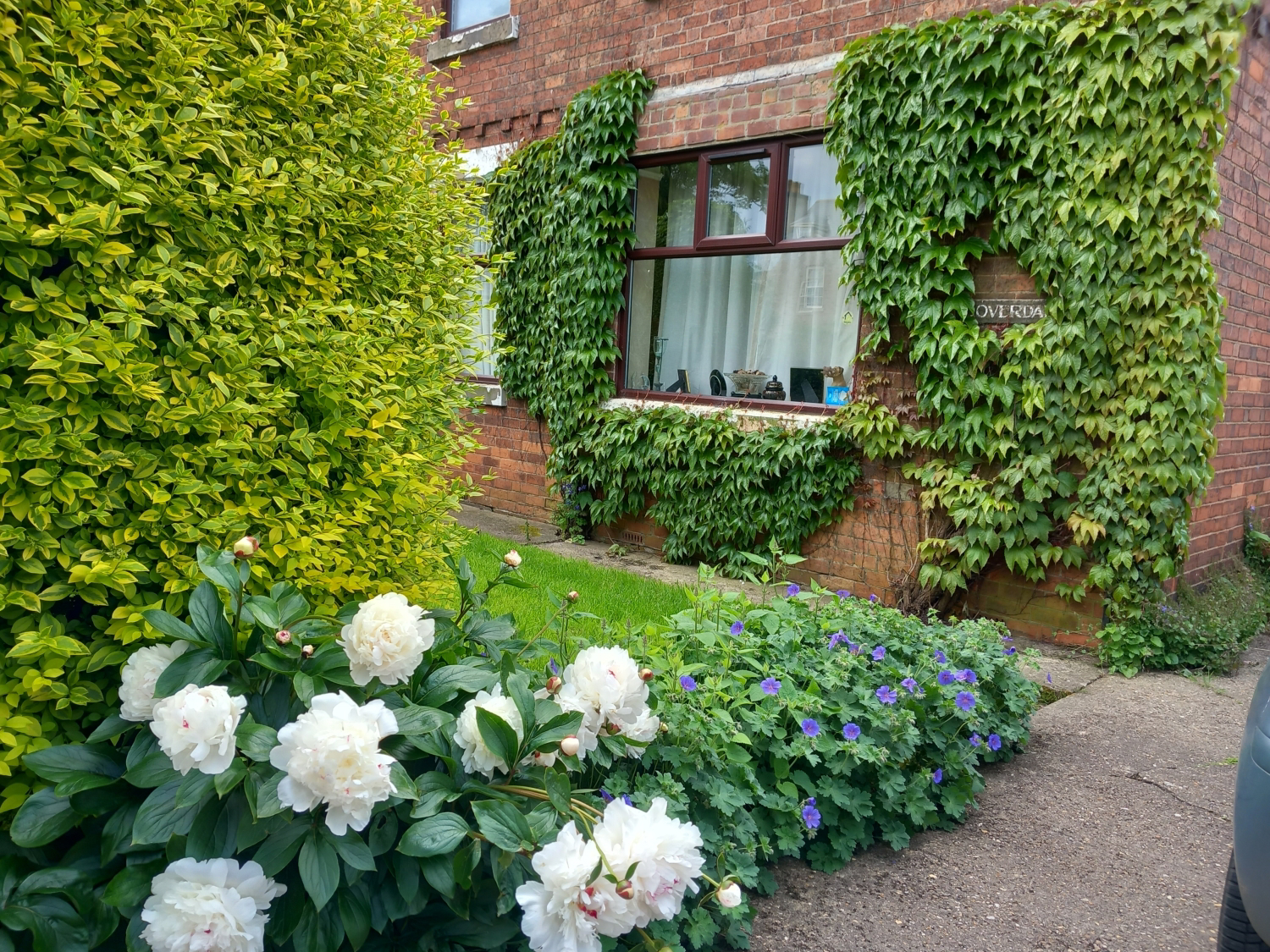 Coverdale King Edward Street, Belton, Doncaster, photo 2