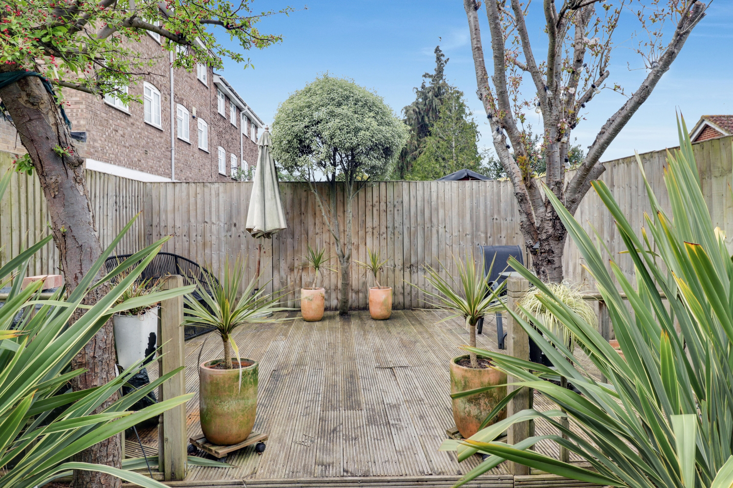 Park Avenue, Bromley, photo 16
