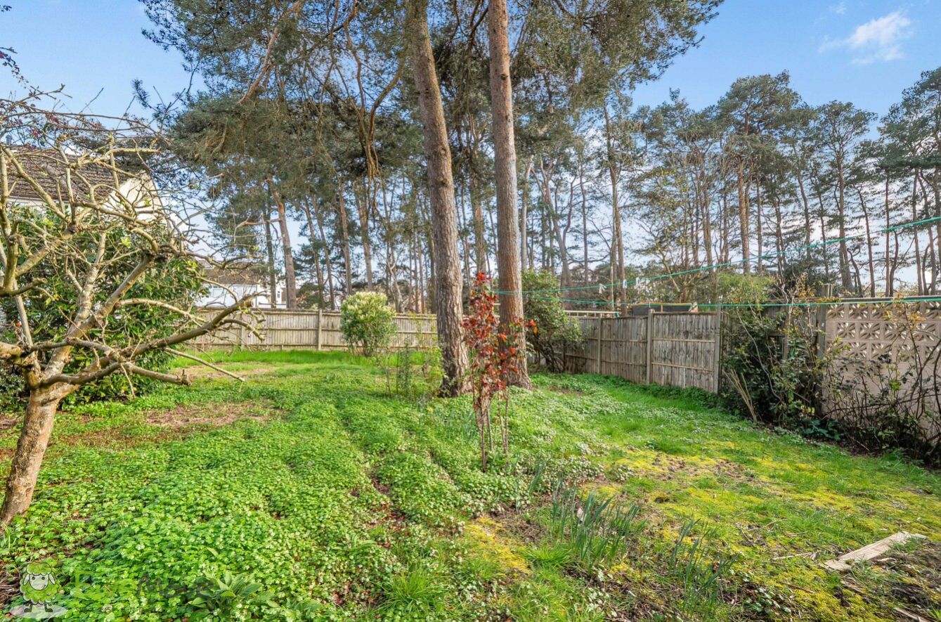 Woodlands Road, Baughurst, Tadley, Hampshire, RG26, photo 18