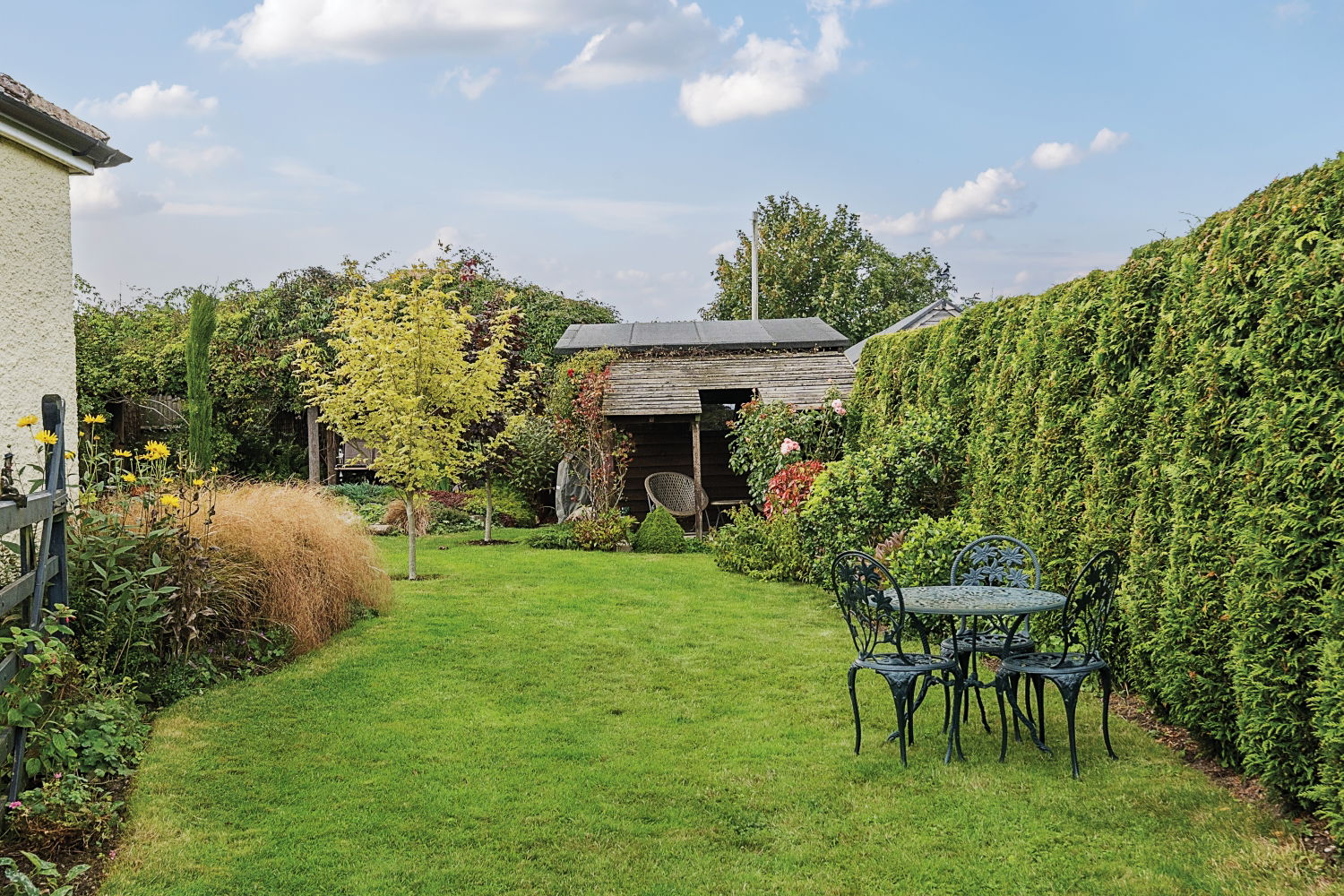 Garden 