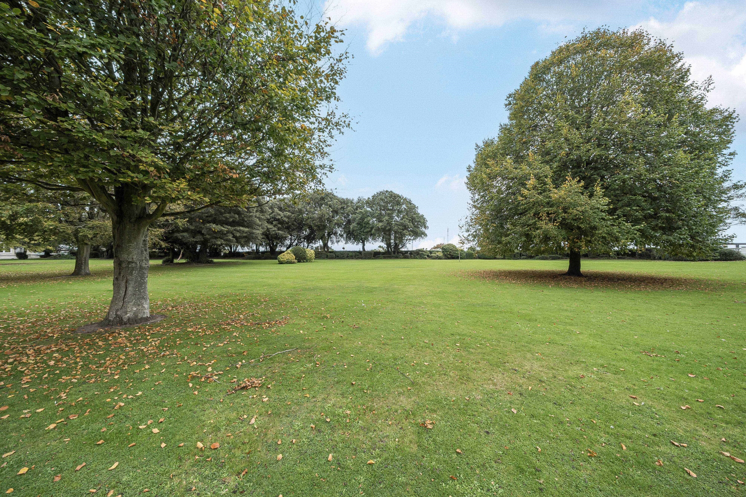 Homepine House Sandgate Road, Folkestone, CT20, photo 4