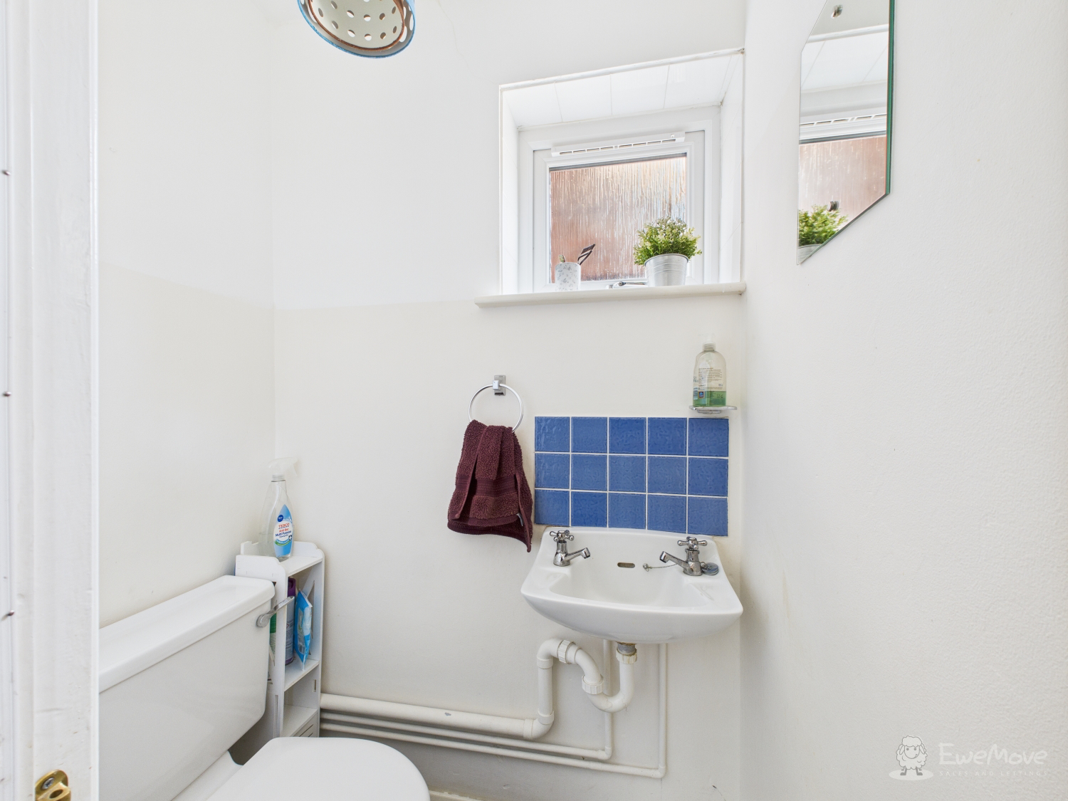 Downstairs WC- Mark Stephens EweMove Newmarket and Soham 