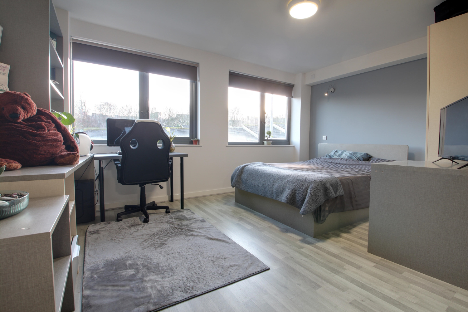 Living room and bedroom area