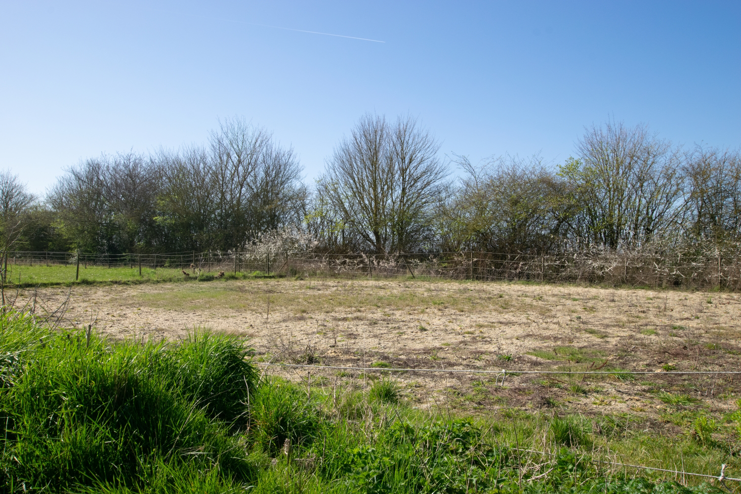 Barrow Hall Farmhouse, Barrow Hall Road, Little Wakering, Southend on Sea, Essex, SS3 0QS, photo 38