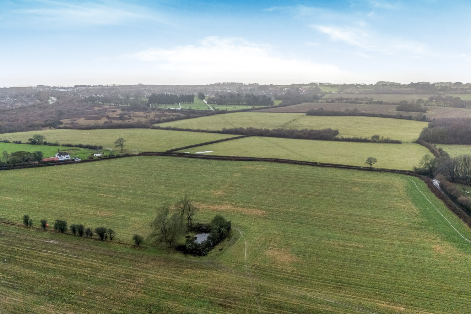 Minter Avenue, Densole, CT18, photo 25