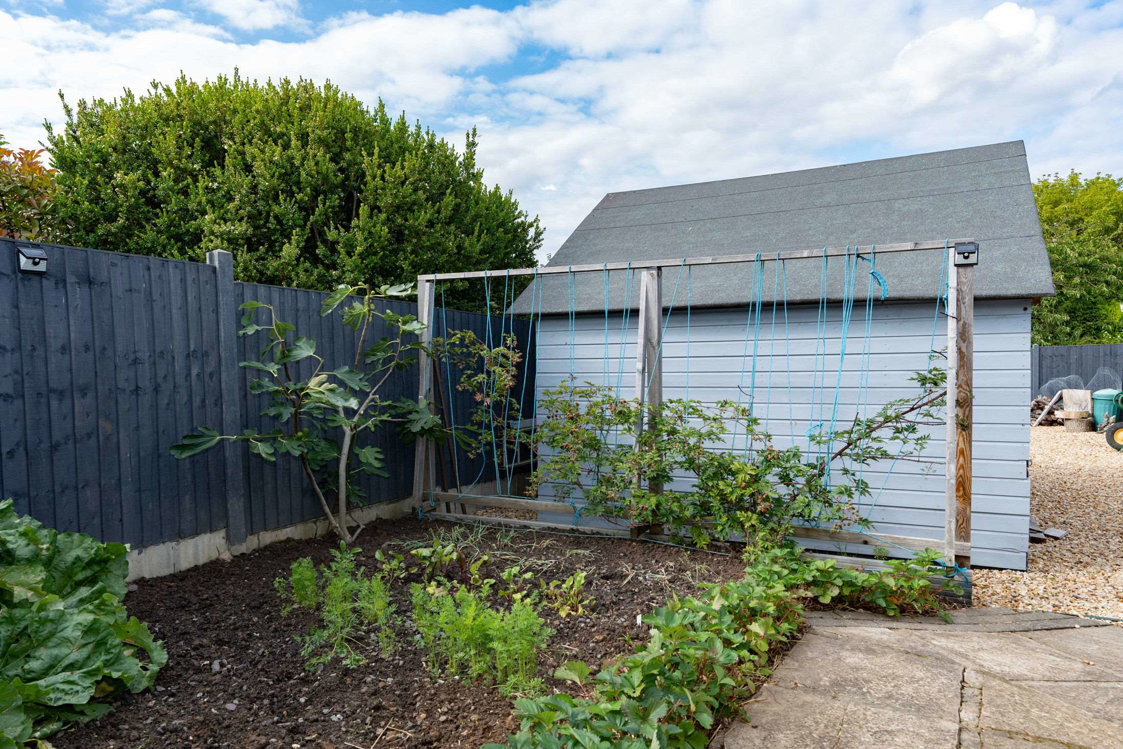 Lancaster Drive, Long Sutton, Spalding PE12 9BD, photo 26