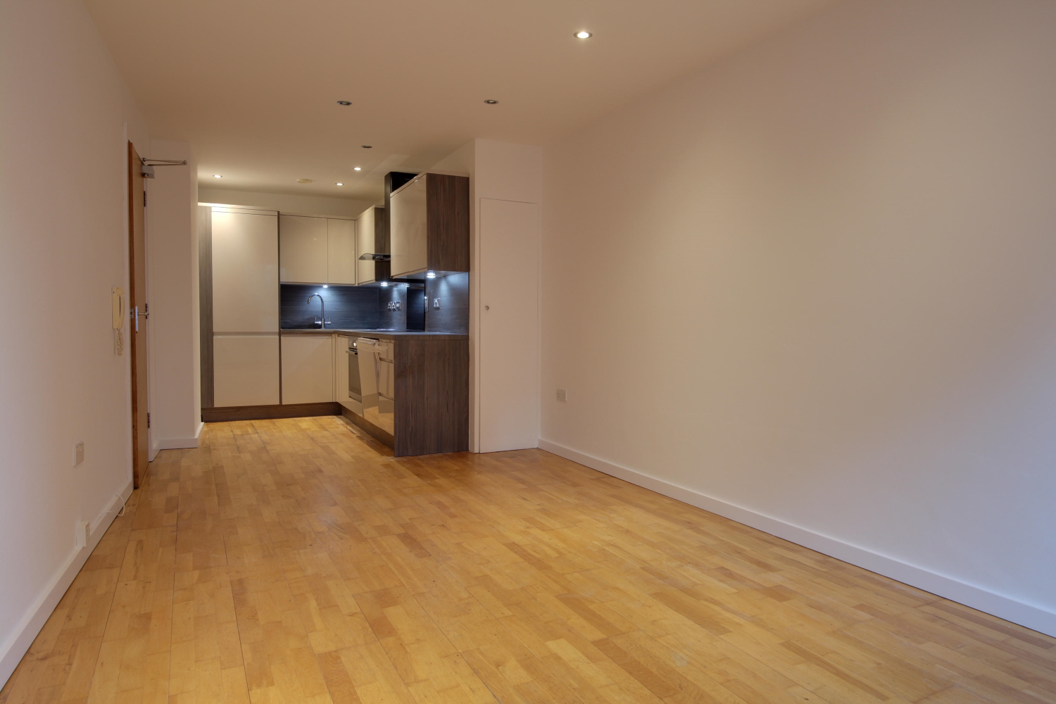 Living room and kitchen areas