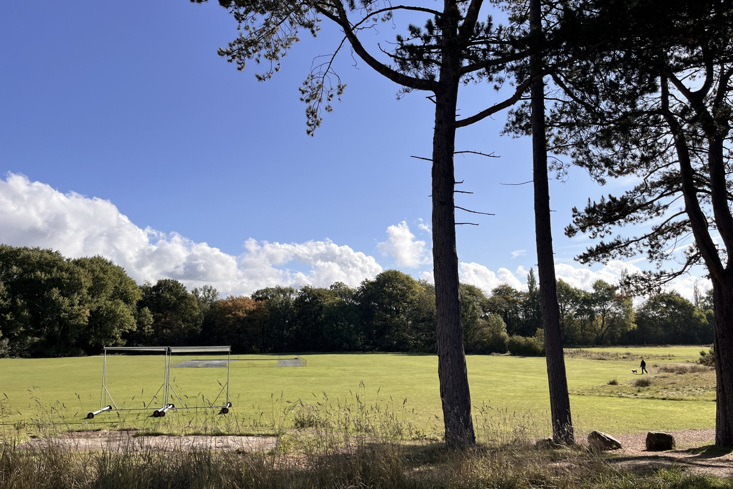 Cricket and football pitch