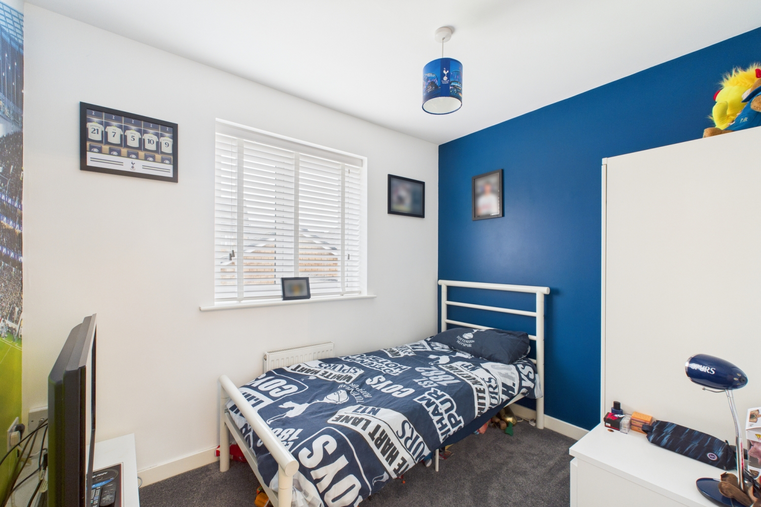 Serin Mead, Leighton Buzzard, LU7, photo 13
