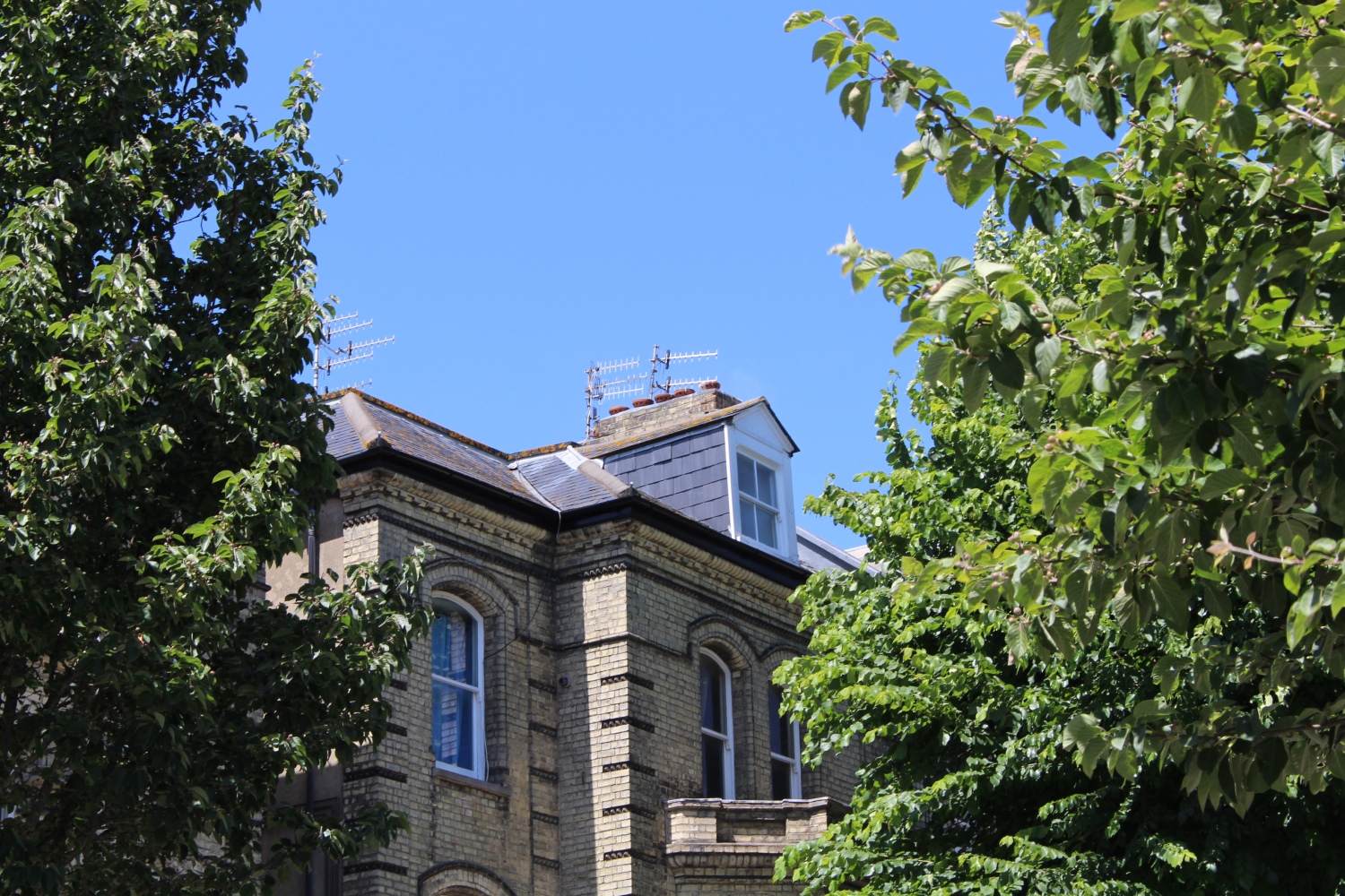 Salisbury Road, HOVE, East Sussex, BN3, photo 10