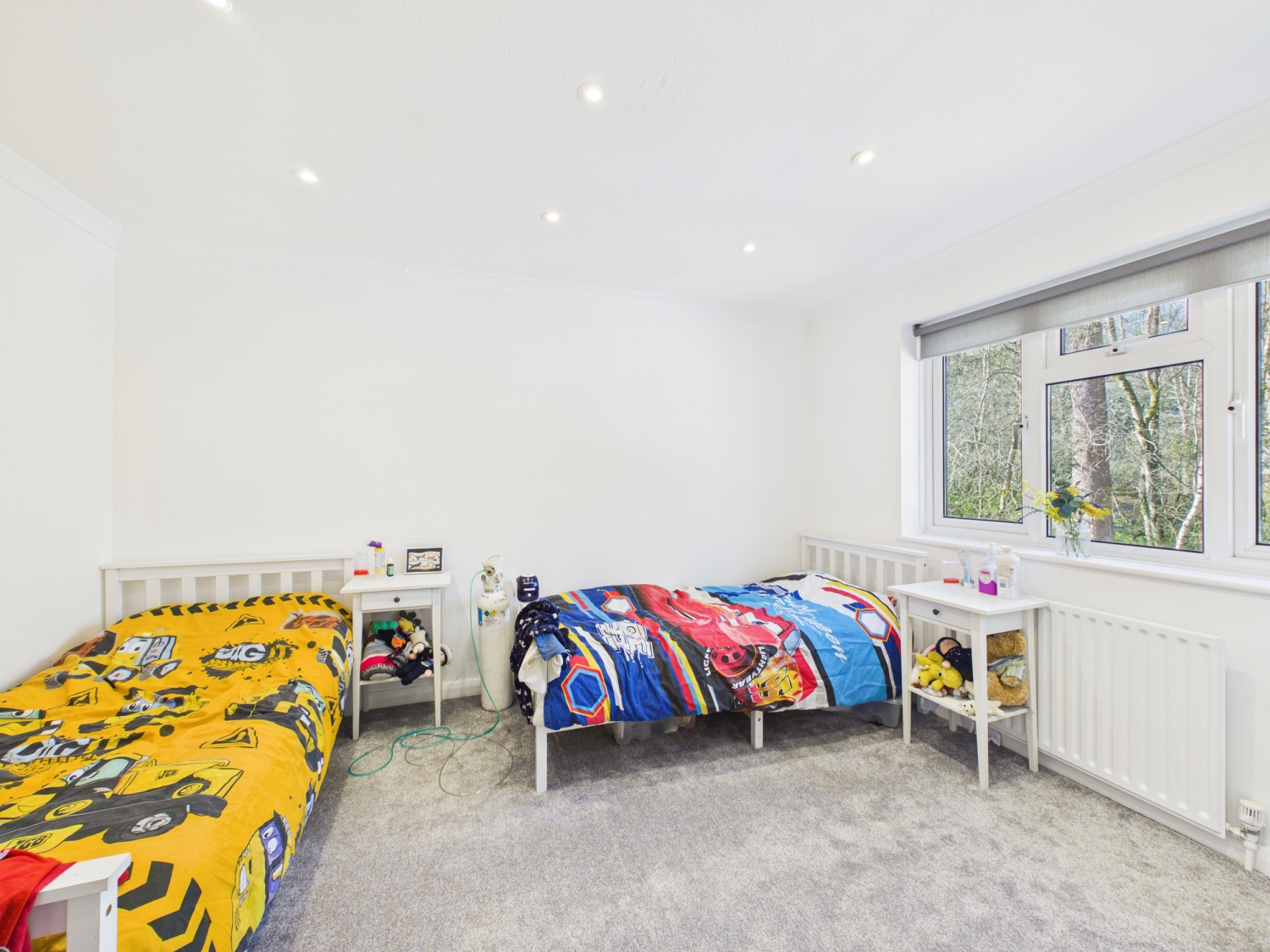Kingfisher Close, Bordon, Hampshire, GU35, photo 5