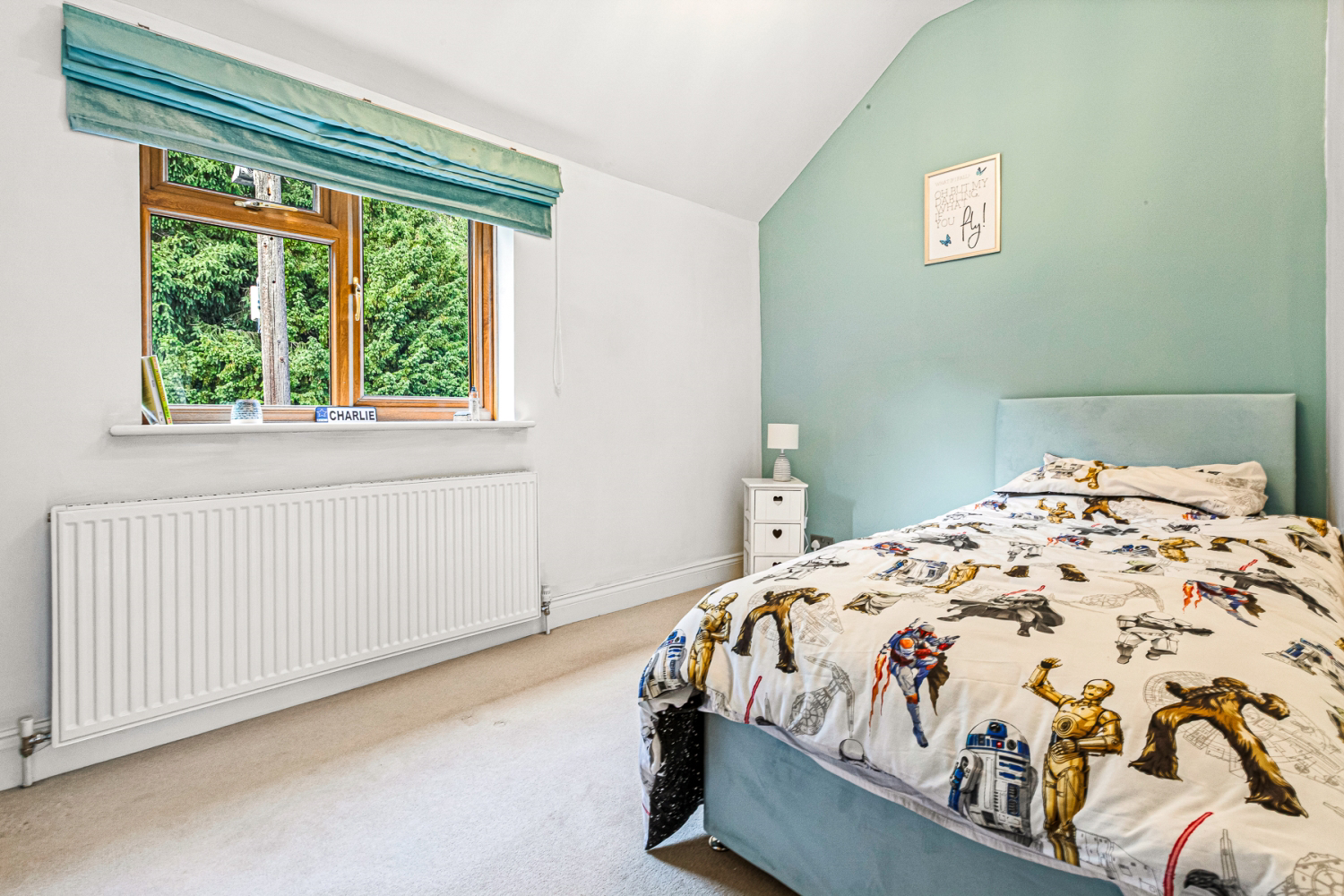 Seine Lane, Enderby, Leicester, Leicestershire, LE19, photo 21
