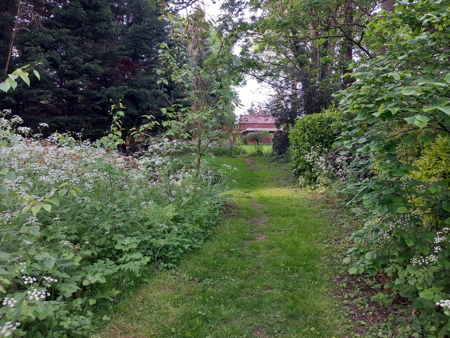Coverdale King Edward Street, Belton, Doncaster, photo 22