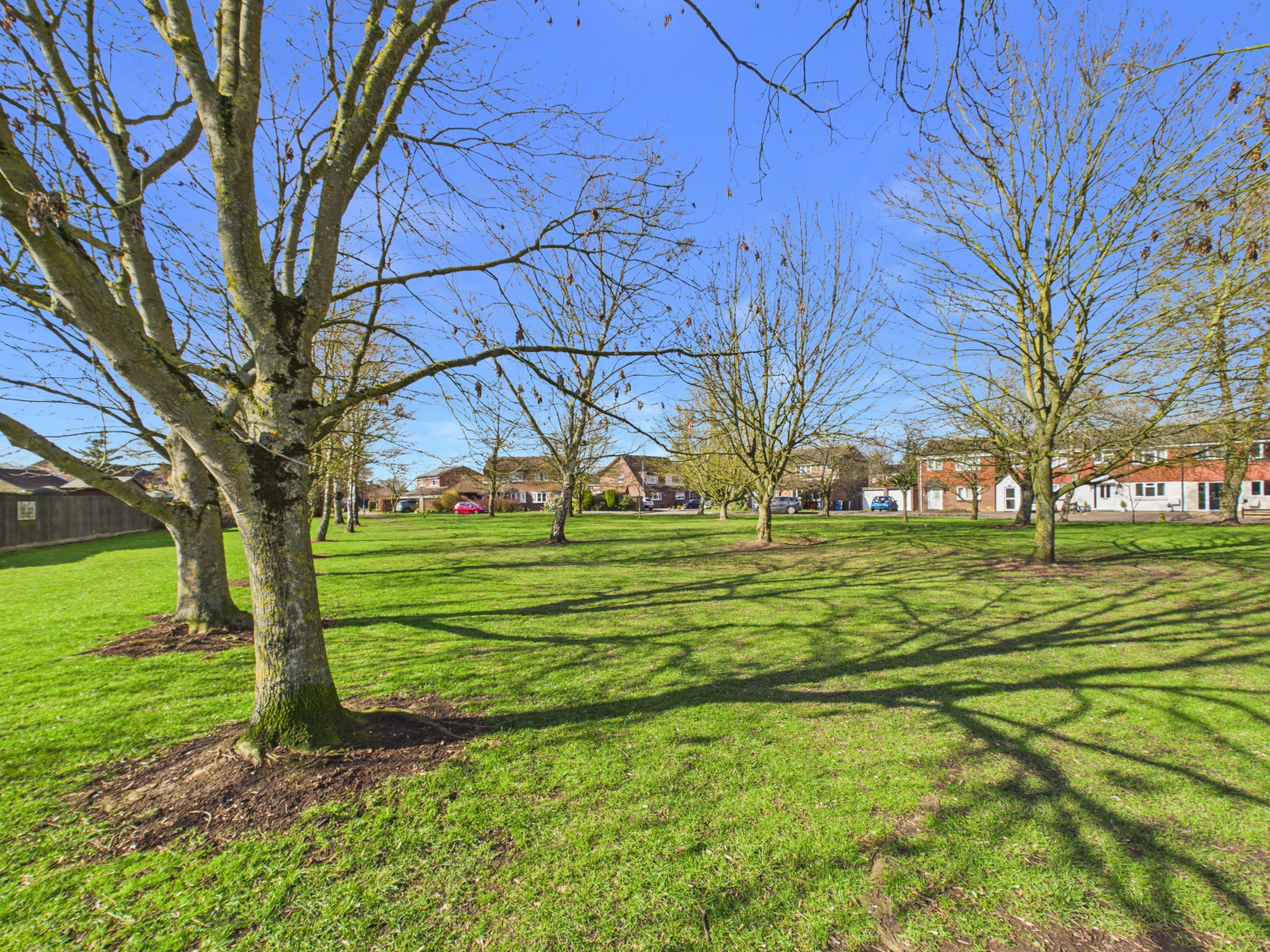 Limes Road, Hardwick, Cambridge, Cambridgeshire, CB23, photo 22