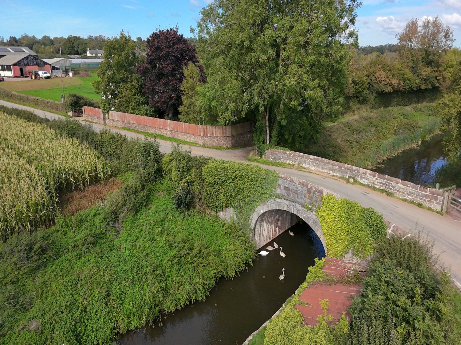 Hensons Drive, Westleigh, Tiverton, Devon, EX16, photo 18