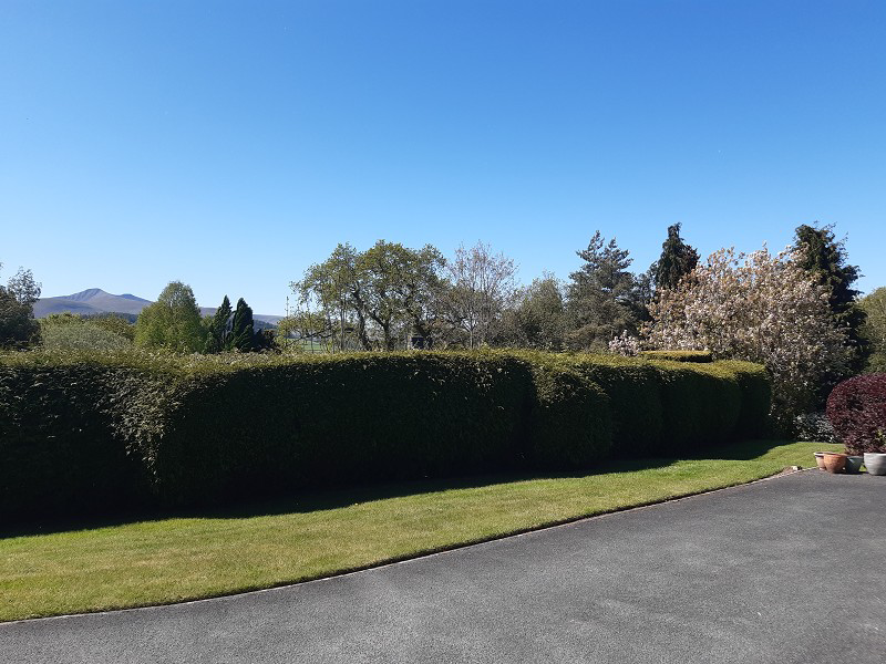 Maescelyn, Brecon, Powys., photo 14