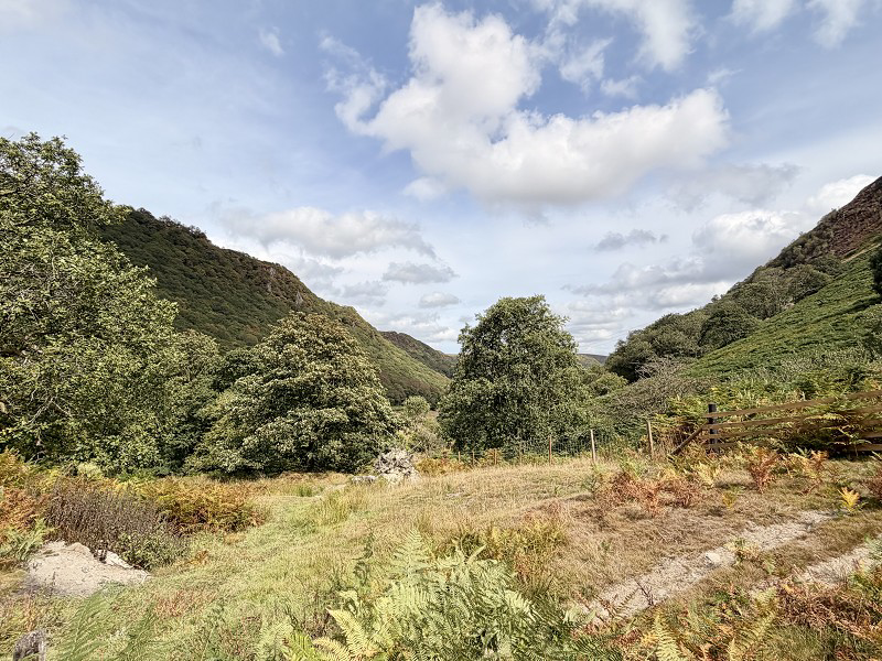 Rhandirmwyn, Llandovery, Carmarthenshire., photo 5