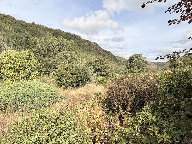 Rhandirmwyn, Llandovery, Carmarthenshire., photo 14