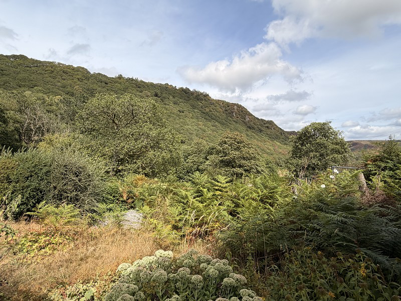 Rhandirmwyn, Llandovery, Carmarthenshire., photo 13