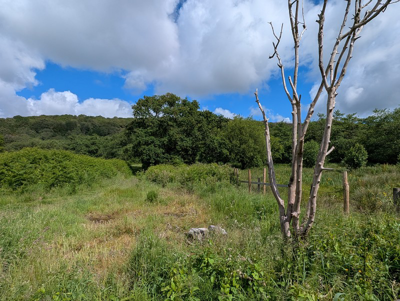 Ynyswen, Penycae, Powys., photo 20