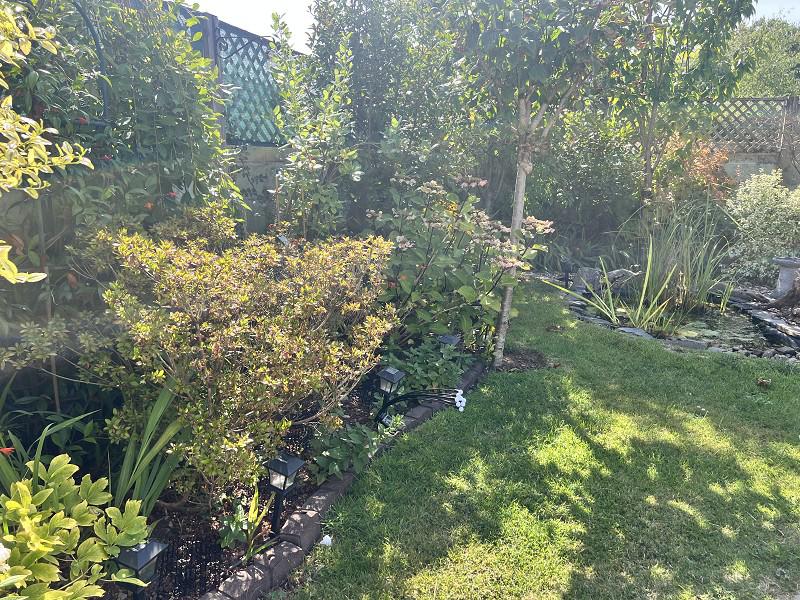 Maes Yr Haf, Ammanford, Carmarthenshire., photo 19