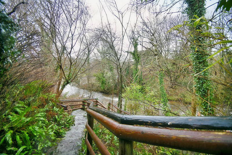 Erwood, Builth Wells, Powys., photo 32