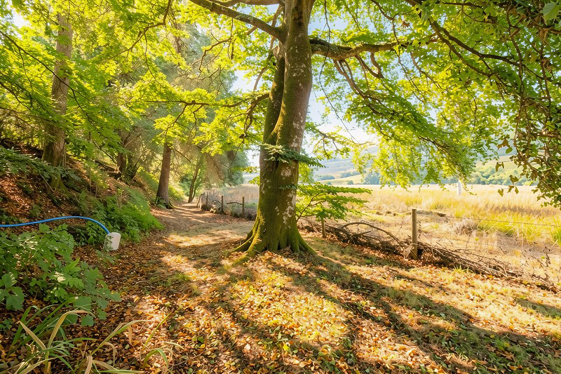 Abergwesyn, Llanwrtyd Wells, Powys., photo 5