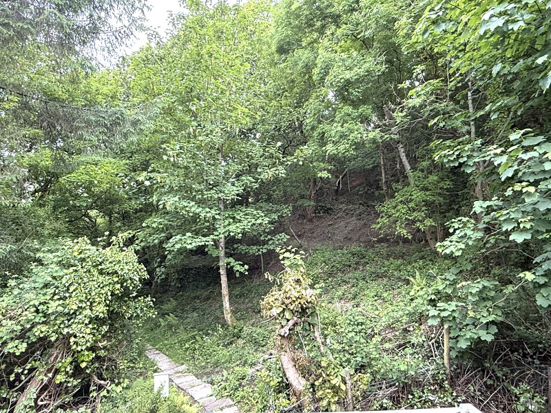Fernfield, Baglan, Port Talbot, Neath Port Talbot., photo 18