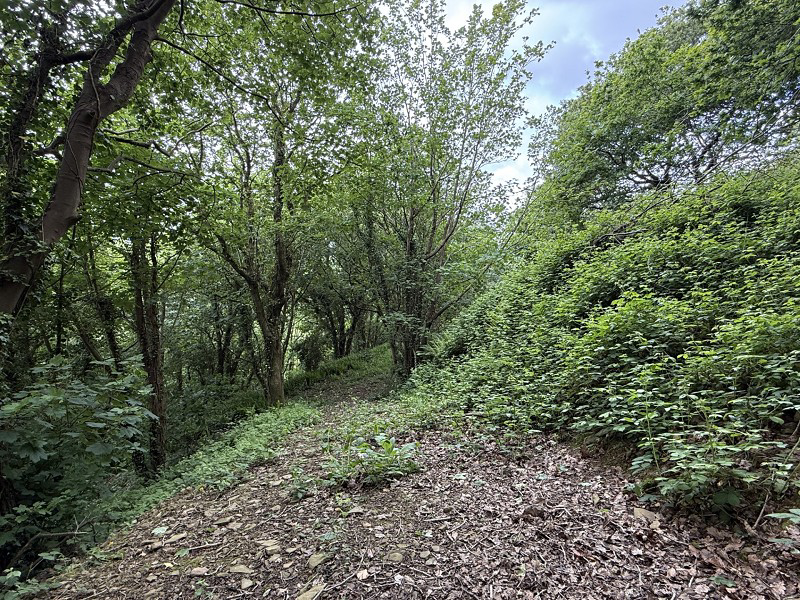 Fernfield, Baglan, Port Talbot, Neath Port Talbot., photo 25