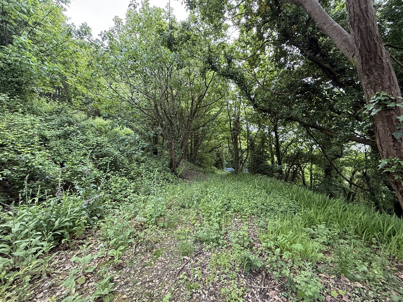 Fernfield, Baglan, Port Talbot, Neath Port Talbot., photo 22