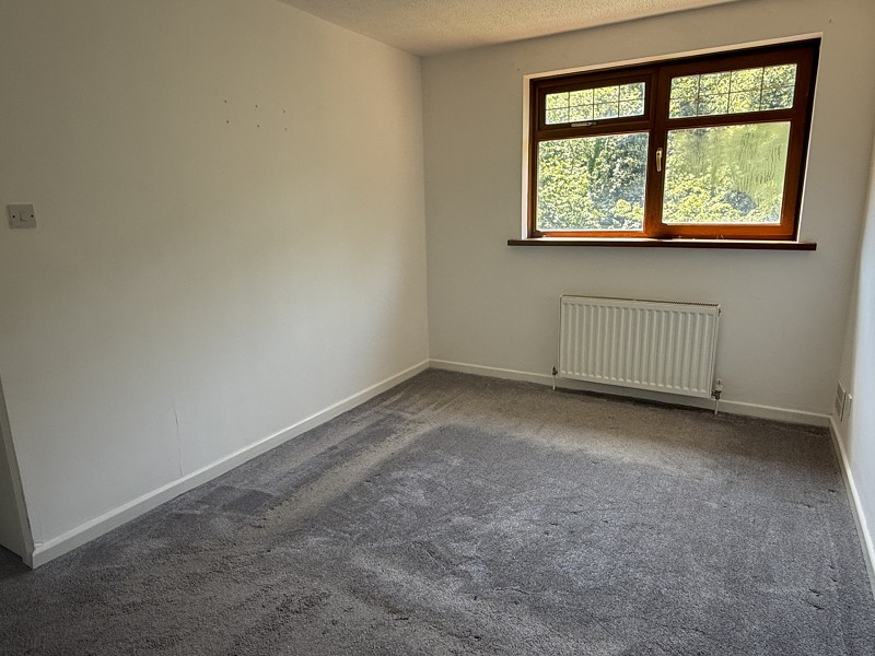 Pine Valley, Cwmavon, Port Talbot, Neath Port Talbot., photo 5