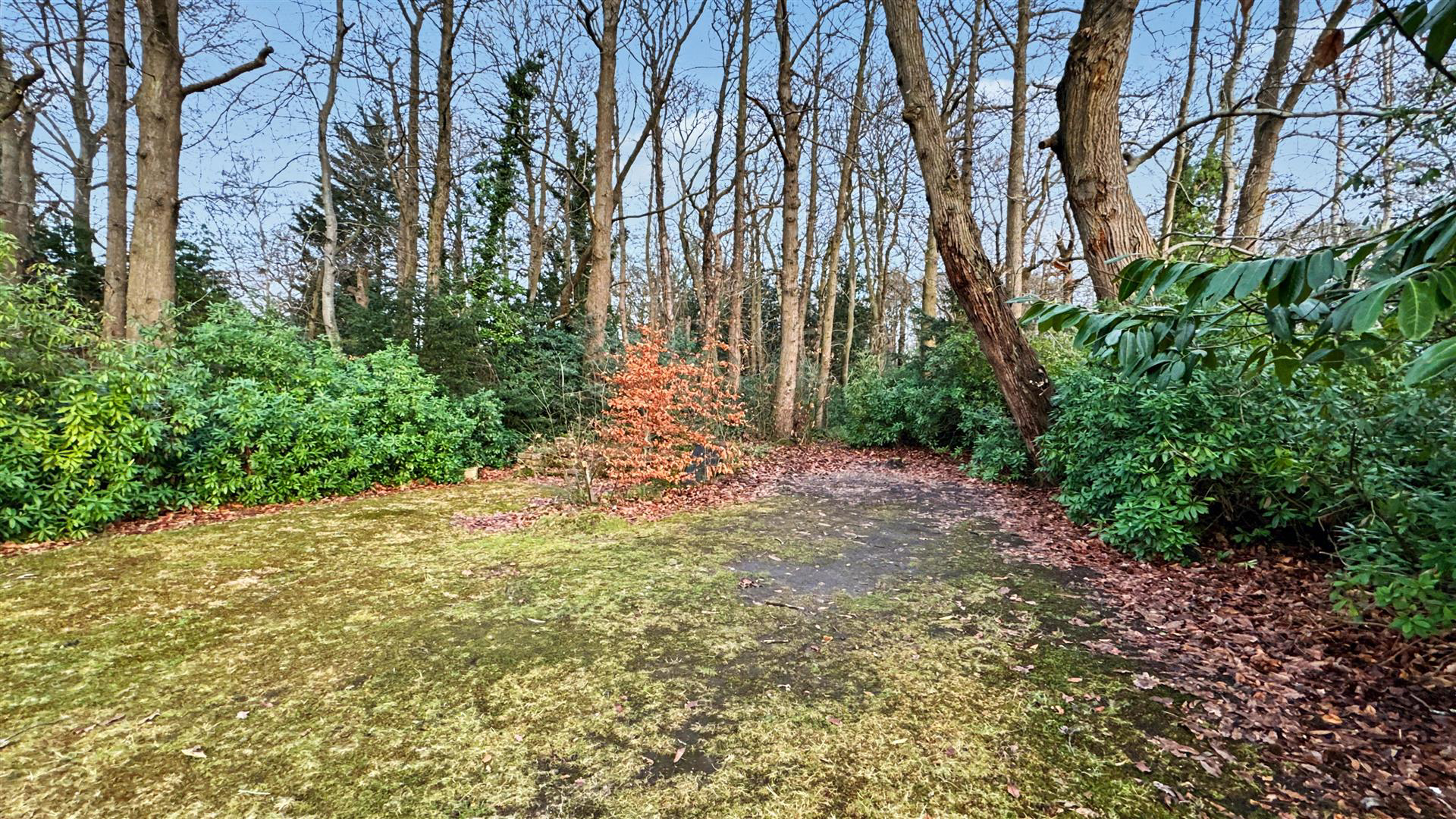 Pierrefondes Avenue, Farnborough, photo 13