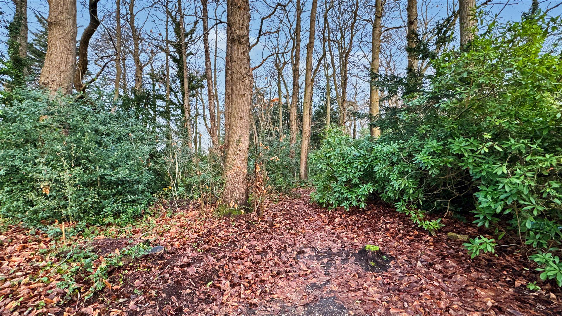 Pierrefondes Avenue, Farnborough, photo 14