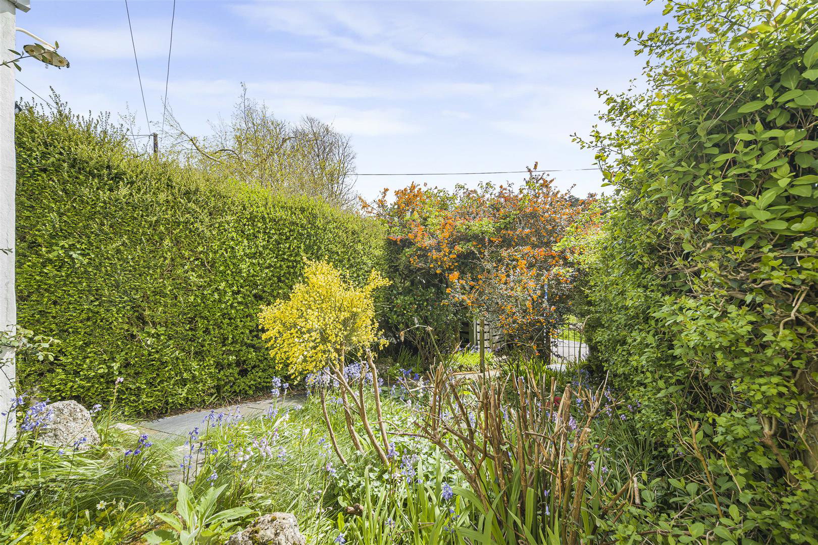 St. Georges Terrace, Reynoldston, Swansea, photo 22