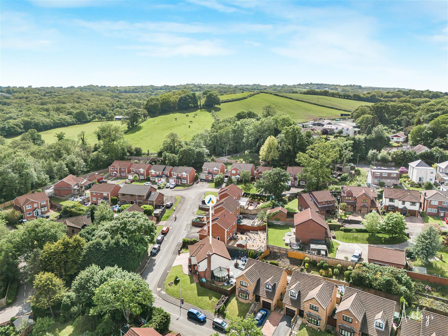 Aerial Images
