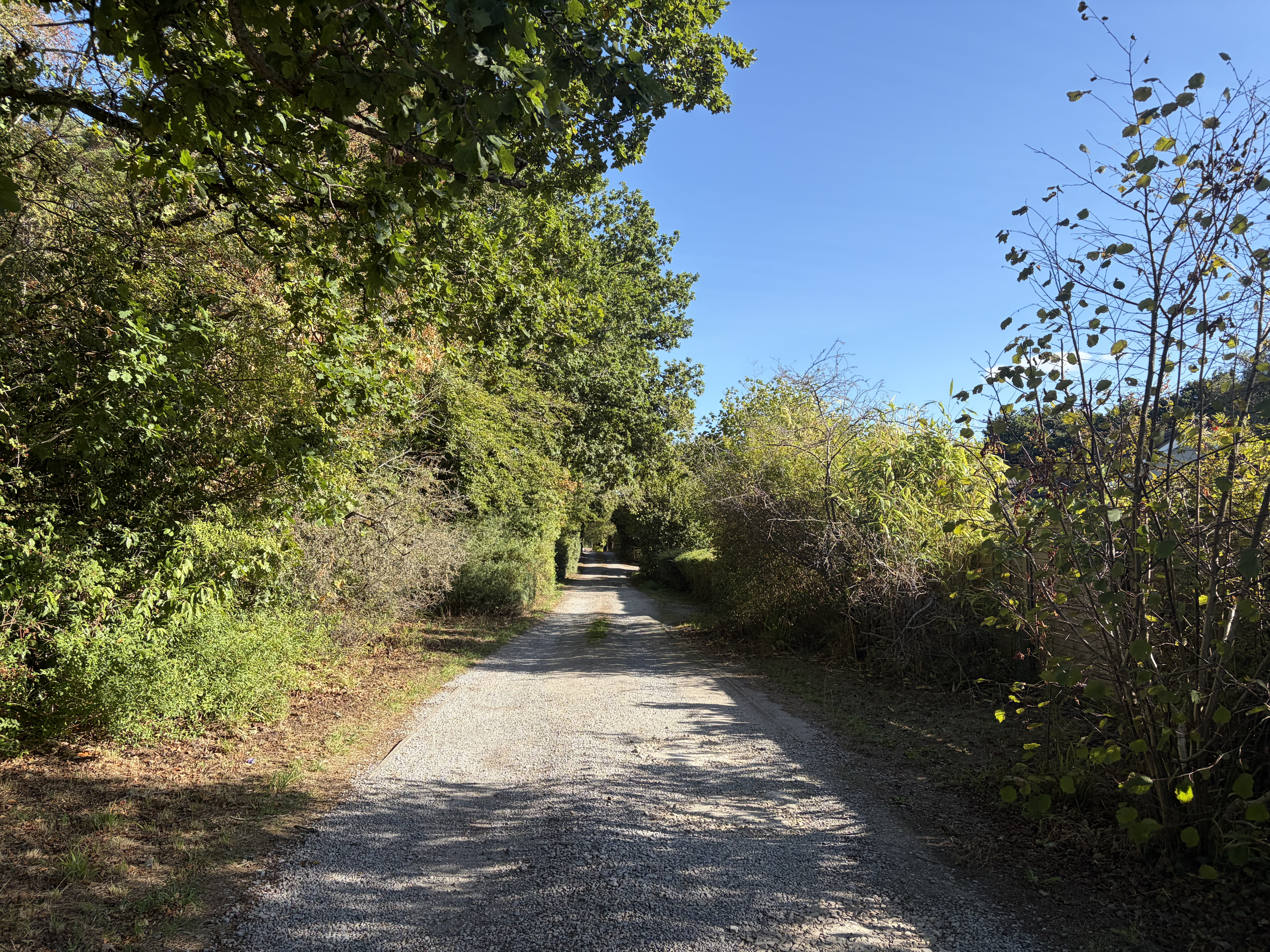 Photo 26