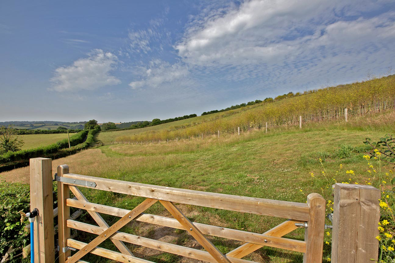 Higher Brimley, Bovey Tracey, TQ13, photo 30