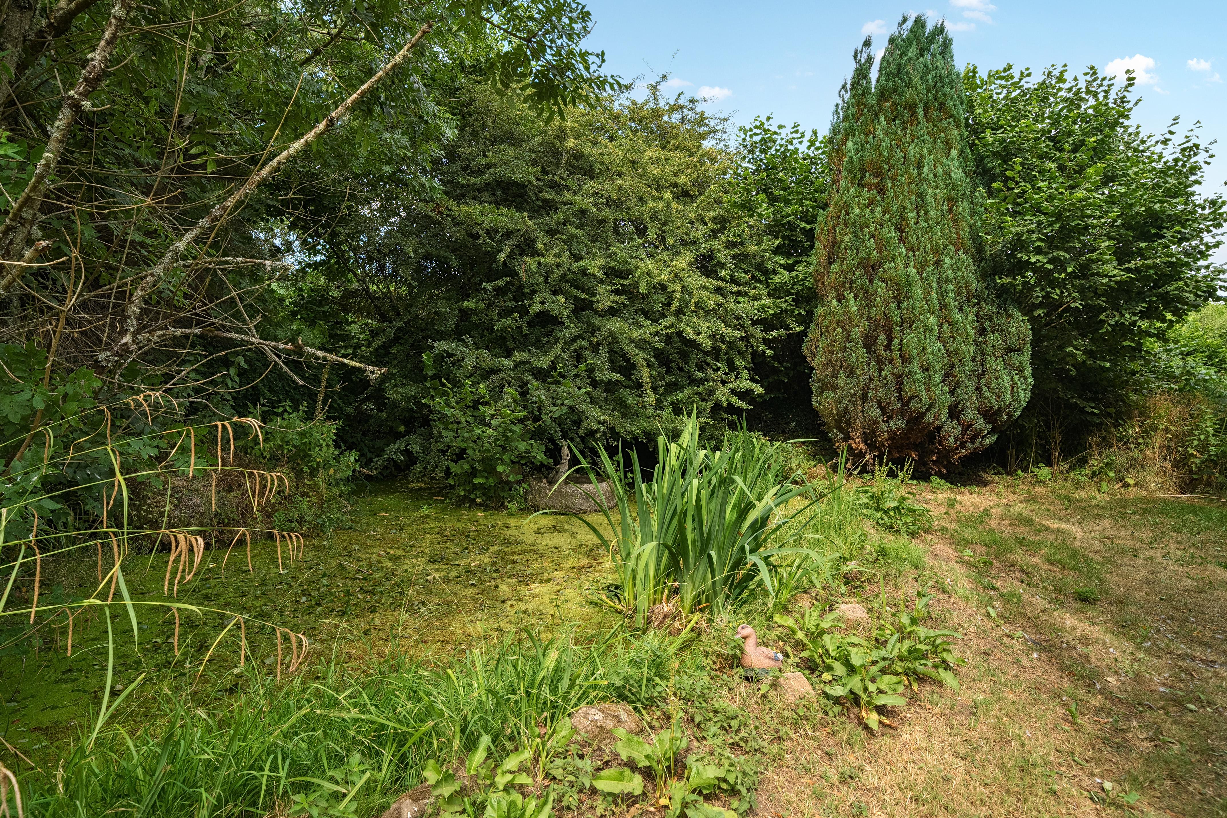 Bovey Tracey, Newton Abbot, TQ13, photo 32