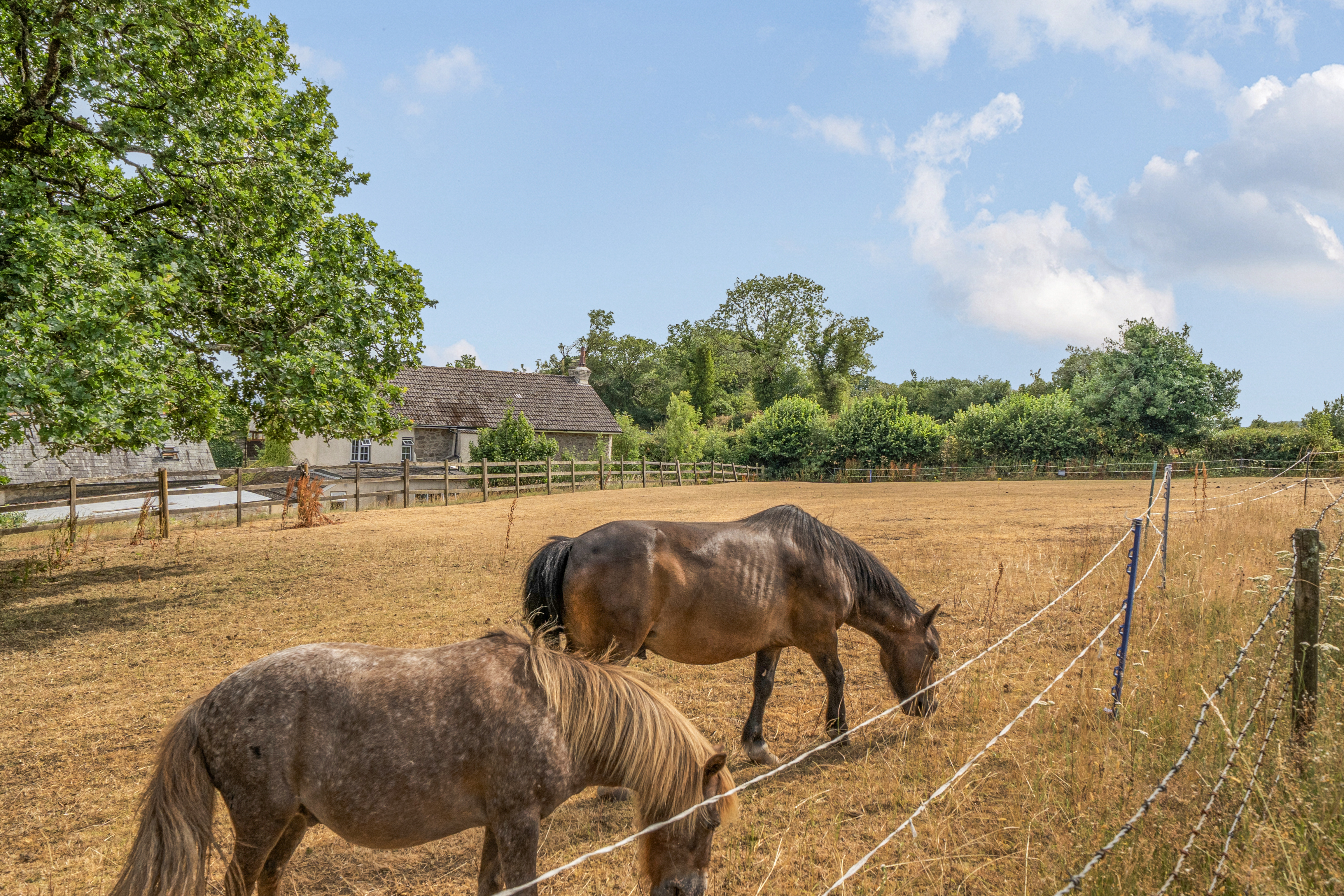 Bovey Tracey, Newton Abbot, TQ13, photo 2
