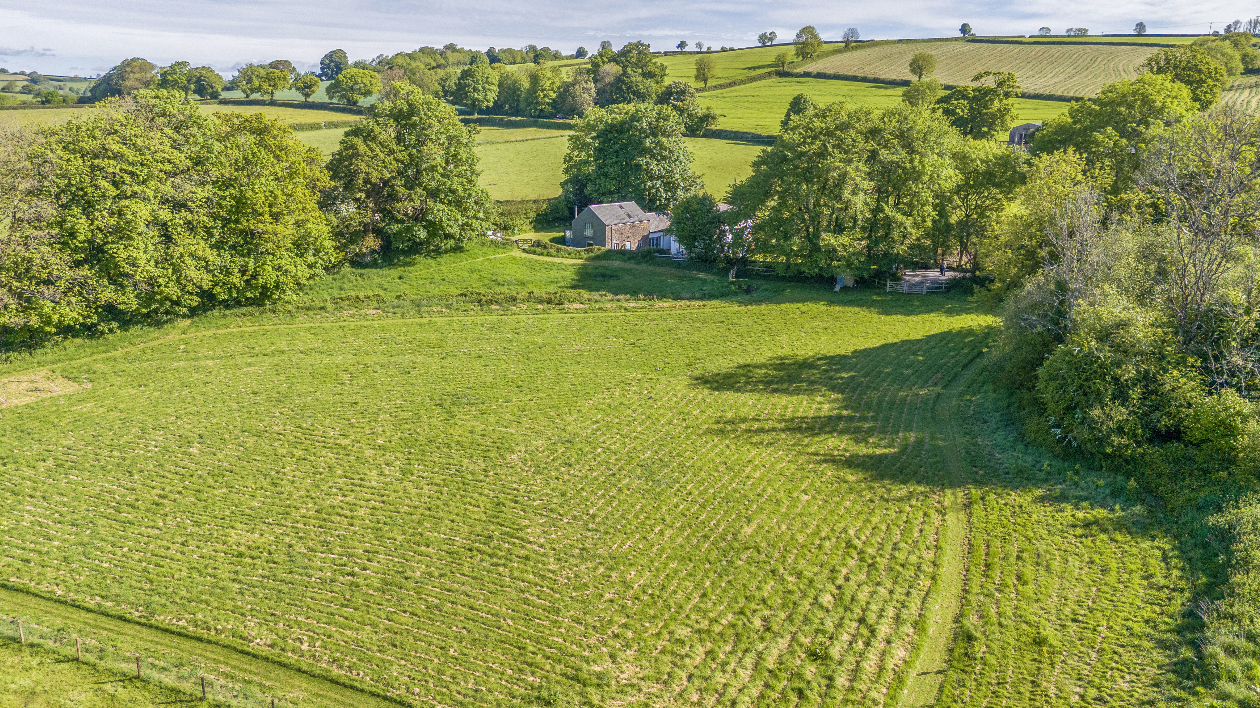 Harbertonford, Totnes, TQ9, photo 25