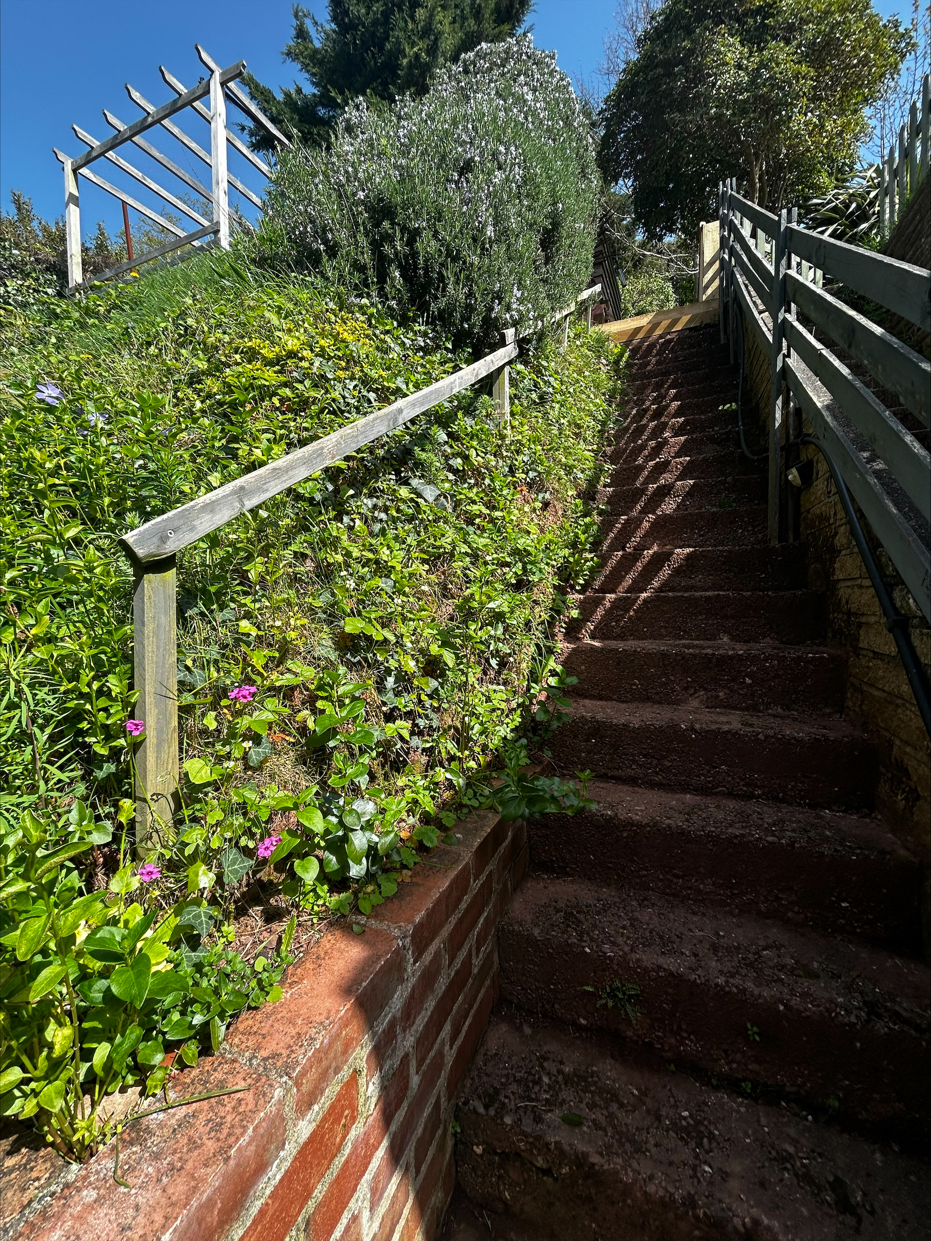 Coombe Vale Road, Teignmouth, TQ14, photo 19