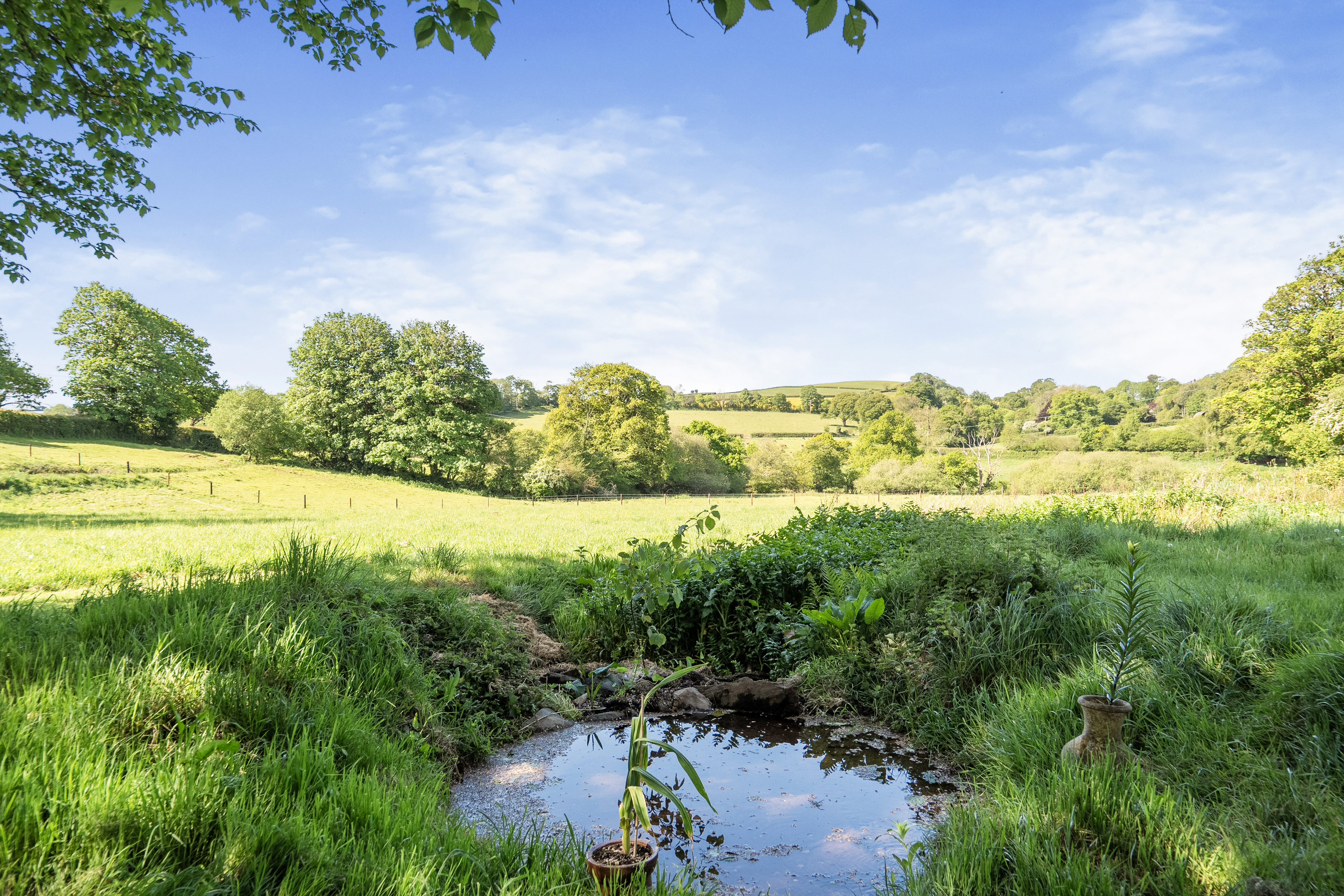 Harbertonford, Totnes, TQ9, photo 29