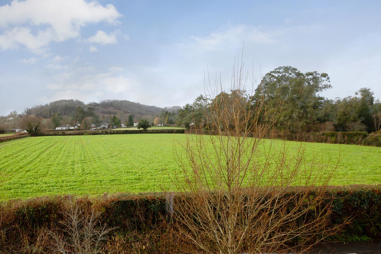 Brimley Road, Bovey Tracey, TQ13, photo 12