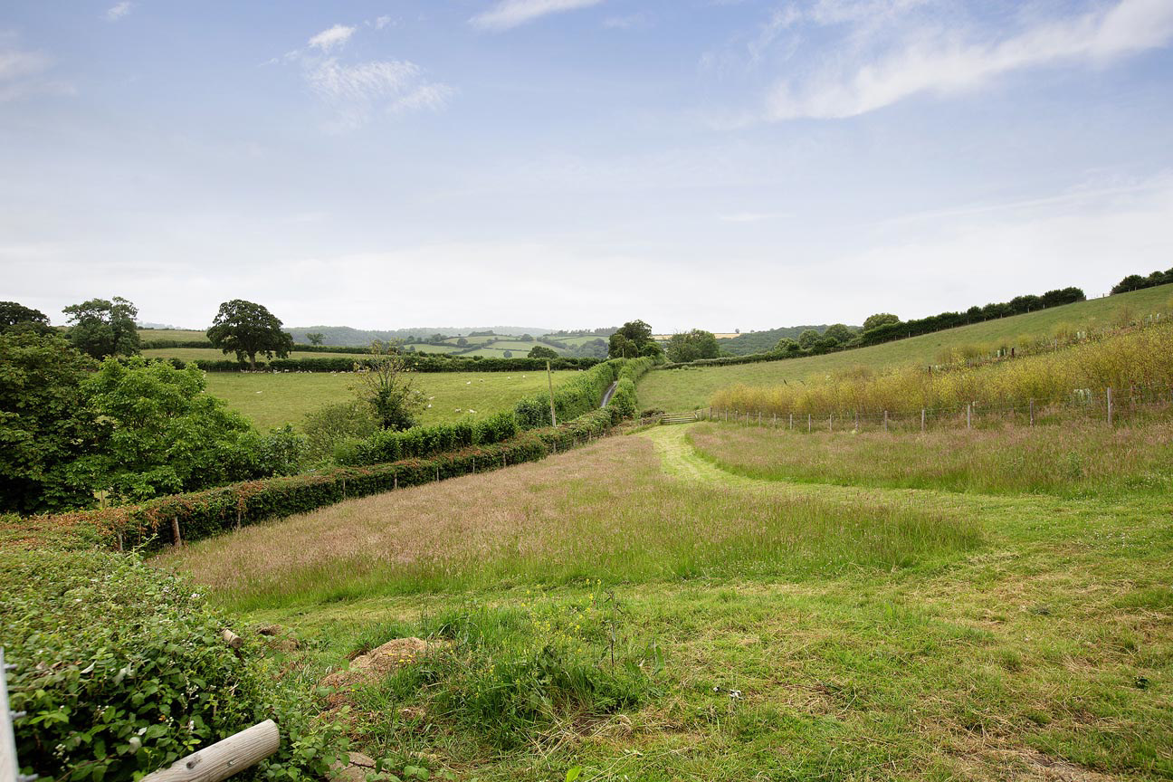 Higher Brimley, Bovey Tracey, TQ13, photo 22