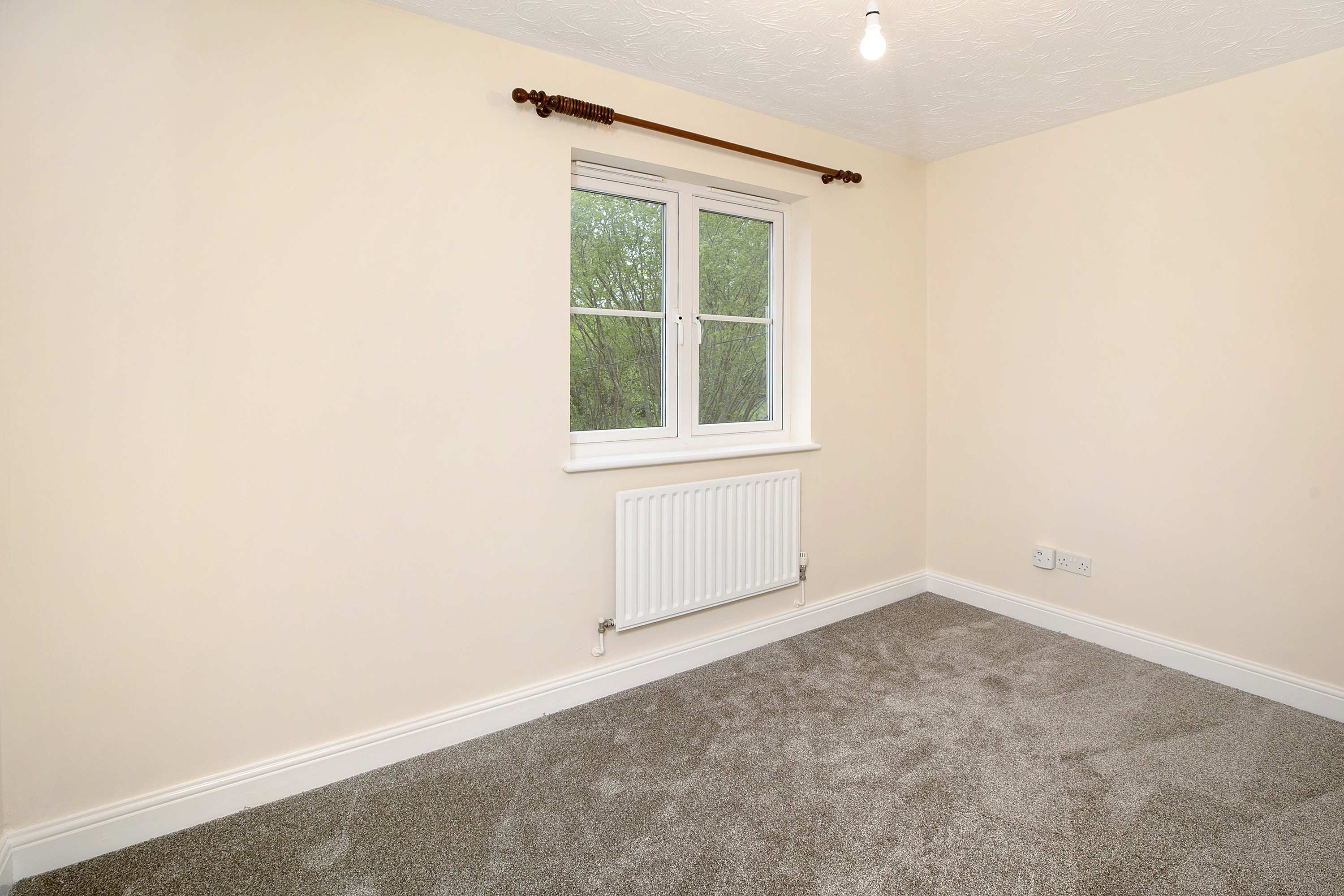 Southbrook Road, Bovey Tracey, TQ13, photo 12